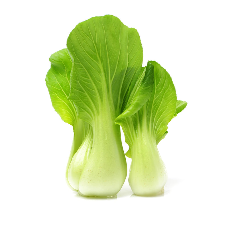 Pak Choy (Twin Pack)
