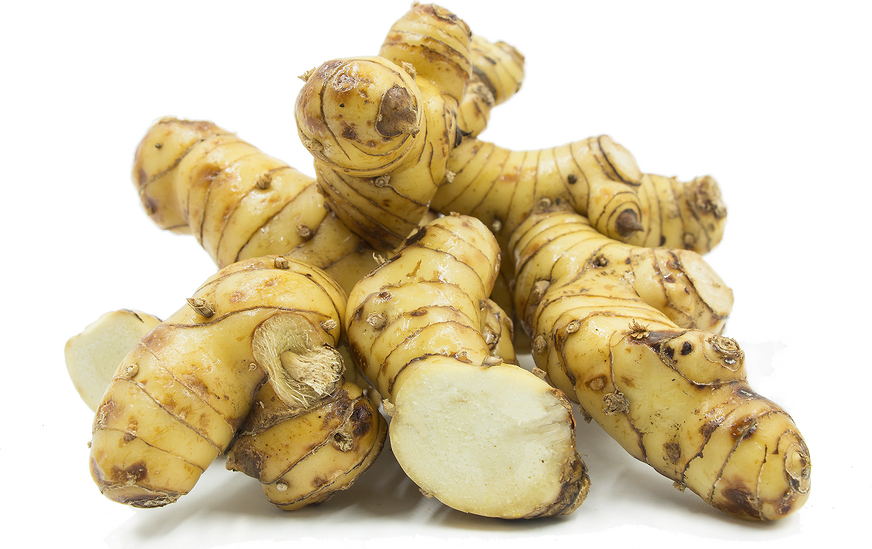 Galanga Root