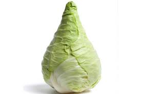 Hispi Cabbage