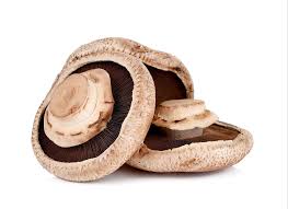 Flat Mushroom
