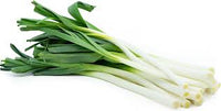 French Leek