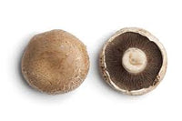 Portobello Mushroom