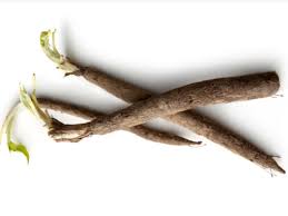 Salsify
