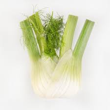 Fennel