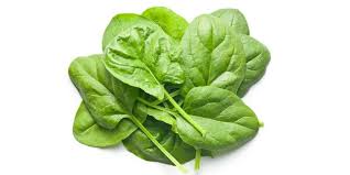 Baby Spinach