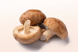 Shitake Mushroom