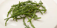 Samphire