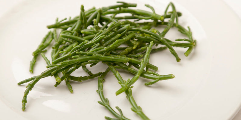 Samphire