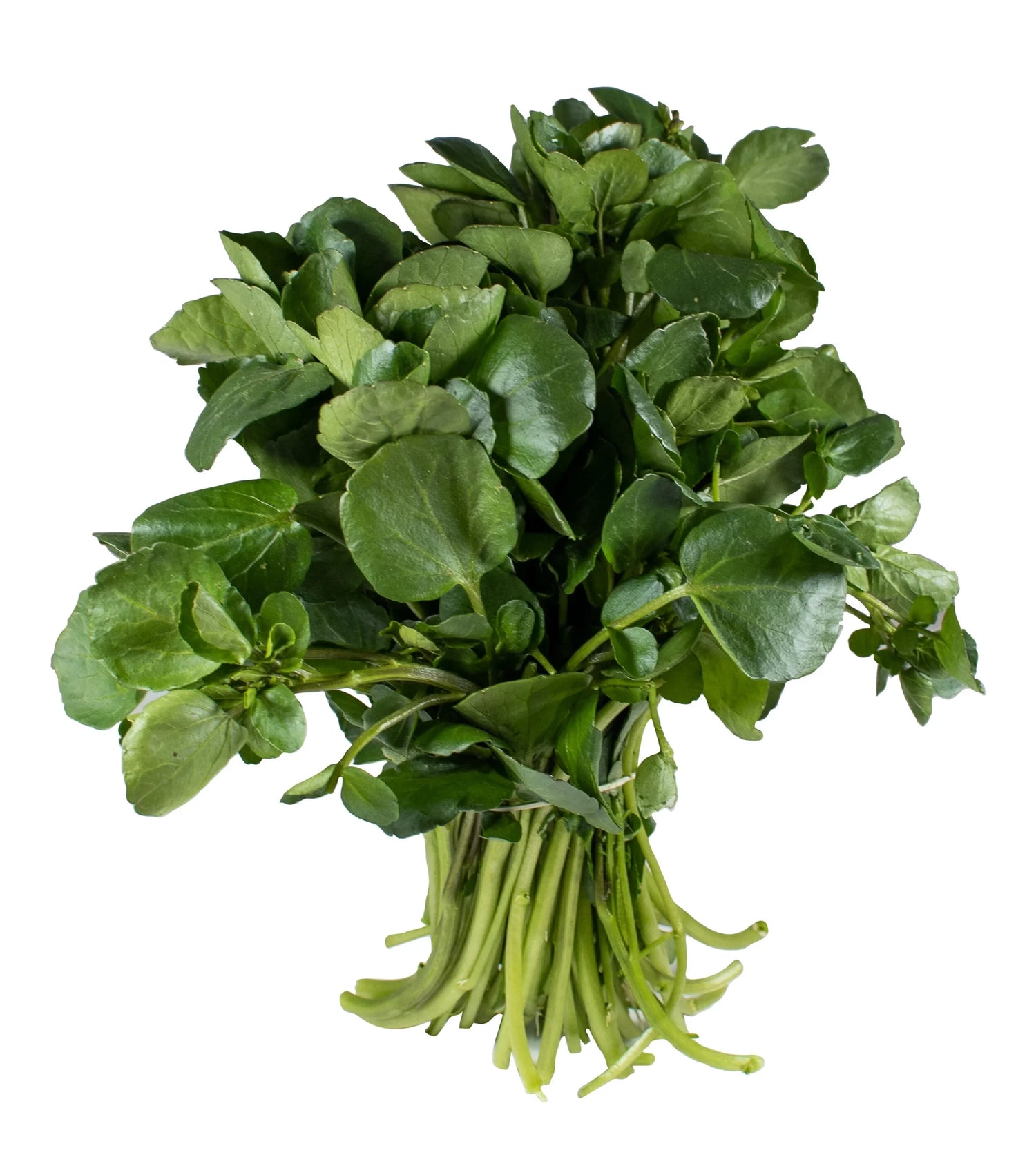 Watercress