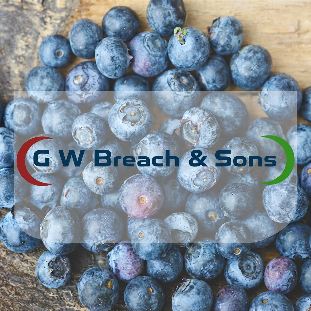GW BREACH