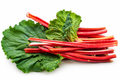 Rhubarb (400g)