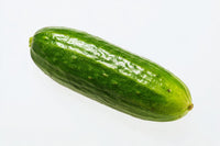 Cucumber