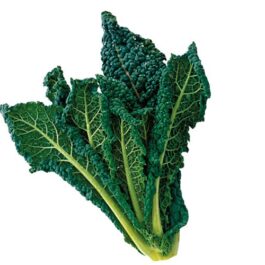 Cavolo Nero