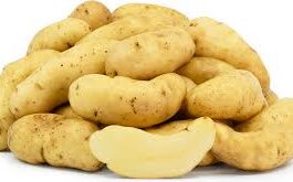 Ratte Potatoes