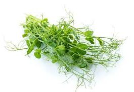 Peashoot Tendril Punnet