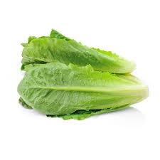 Cos Lettuce