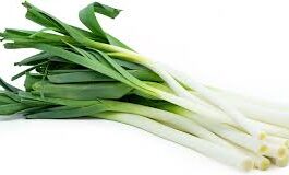 French Leek