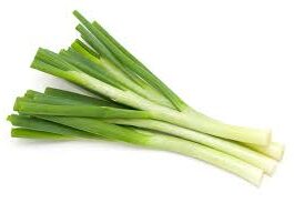 Large Spring Onions Bunch