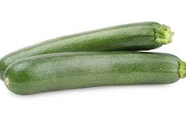 Large Courgette