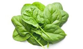 Baby Spinach