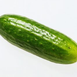 Cucumber
