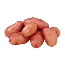 Lincolnshire Washed Red Potatoes