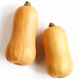 Butternut Squash