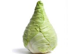 Hispi Cabbage