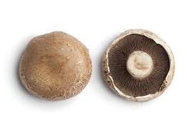 Portobello Mushroom