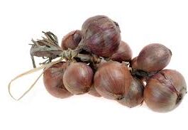 Roscoff Onions