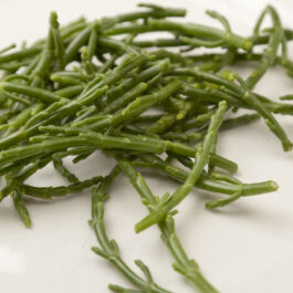 Samphire