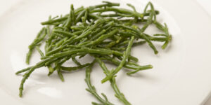 Samphire